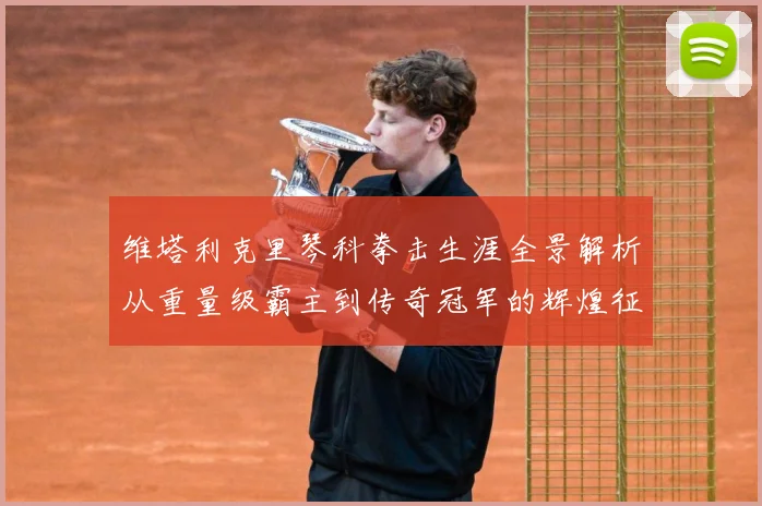 维塔利克里琴科拳击生涯全景解析从重量级霸主到传奇冠军的辉煌征程