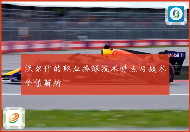 沃尔什的职业排球技术特点与战术价值解析