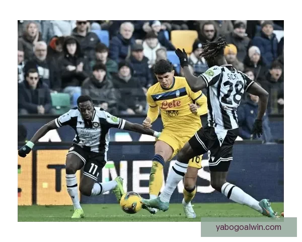 维罗纳球迷对法焦利发出歧视性口号 古德蒙德松随即回应事件曝光