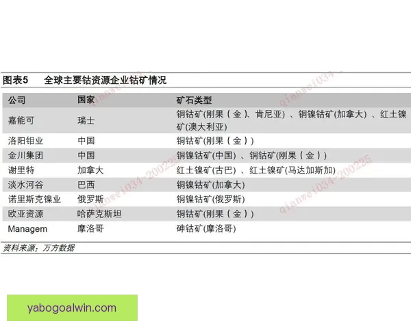 全面解读世界杯买球盘口变化趋势与实战投注策略指南助你把握赛事